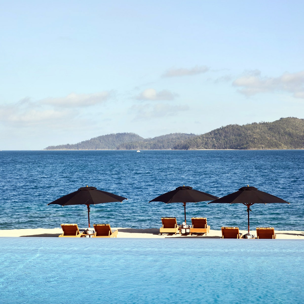 एवलिन शर्मा