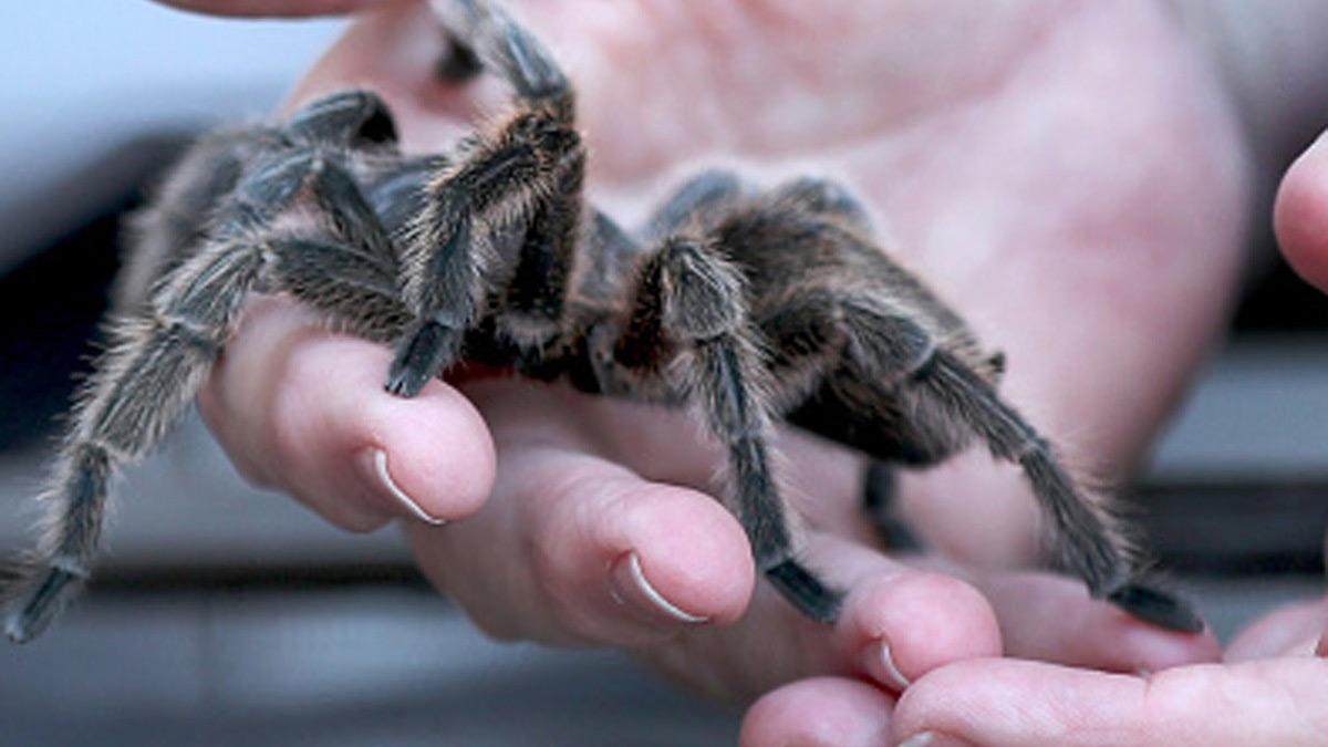प्रतीकात्मक तस्वीर/getty images 
