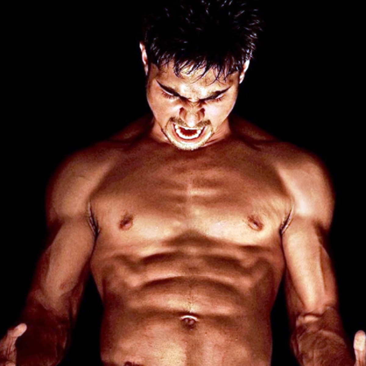 सलमान युसुफ खान