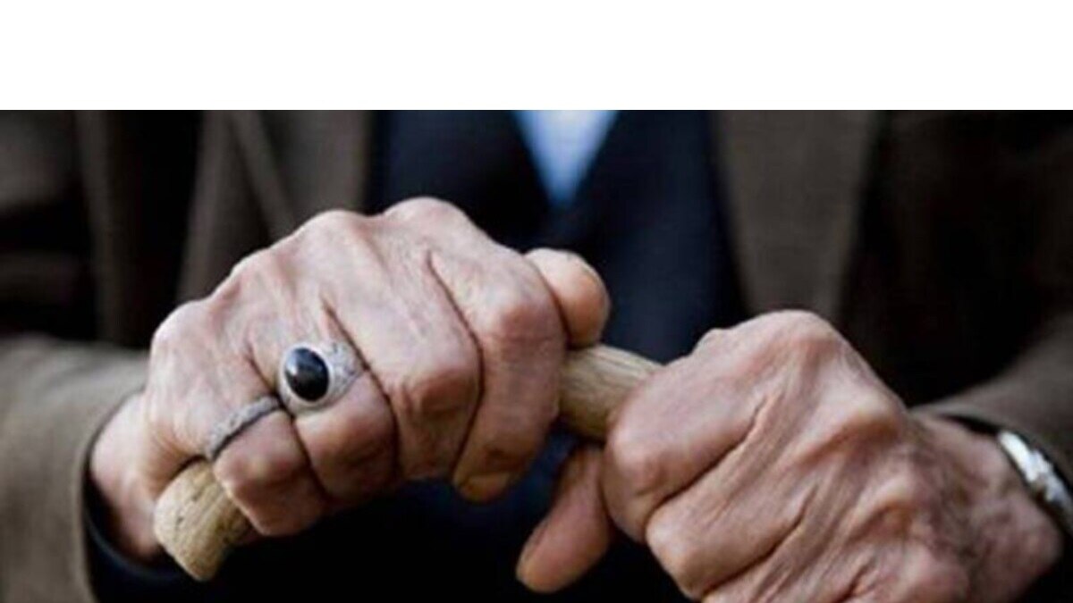 पेंशन एवं पेंशनर कल्याण विभाग का आदेश