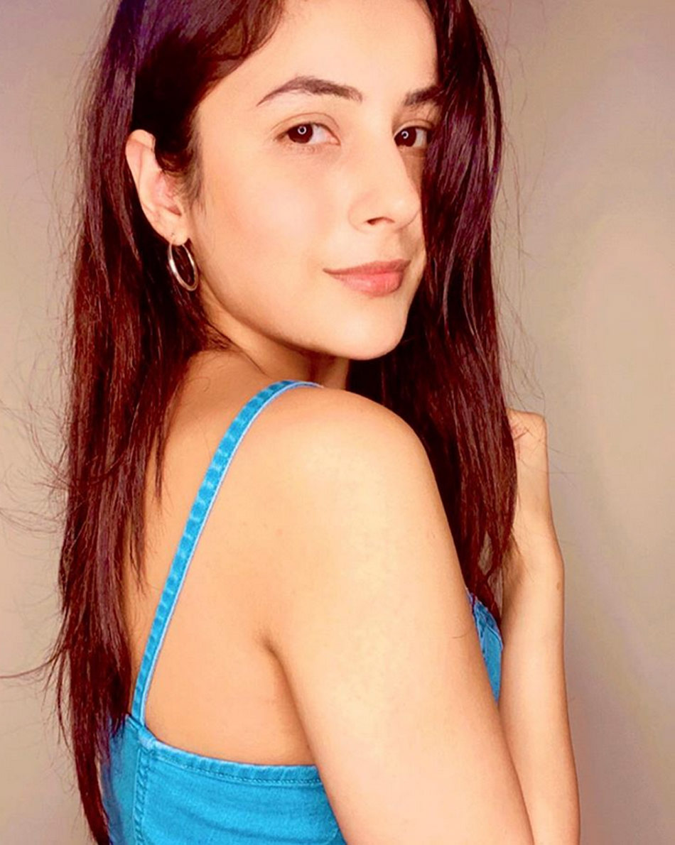 टीवी स्टार्स