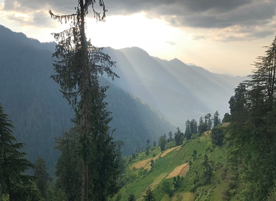 शोजा, हिमाचल प्रदेश