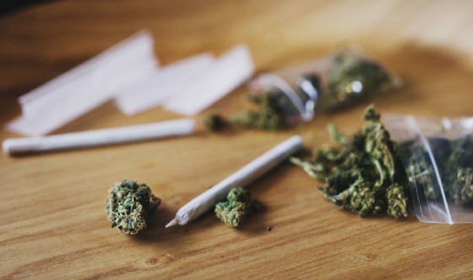 स्पर्म काउंट के लिए खतरनाक गांजा-स्टेरॉयड