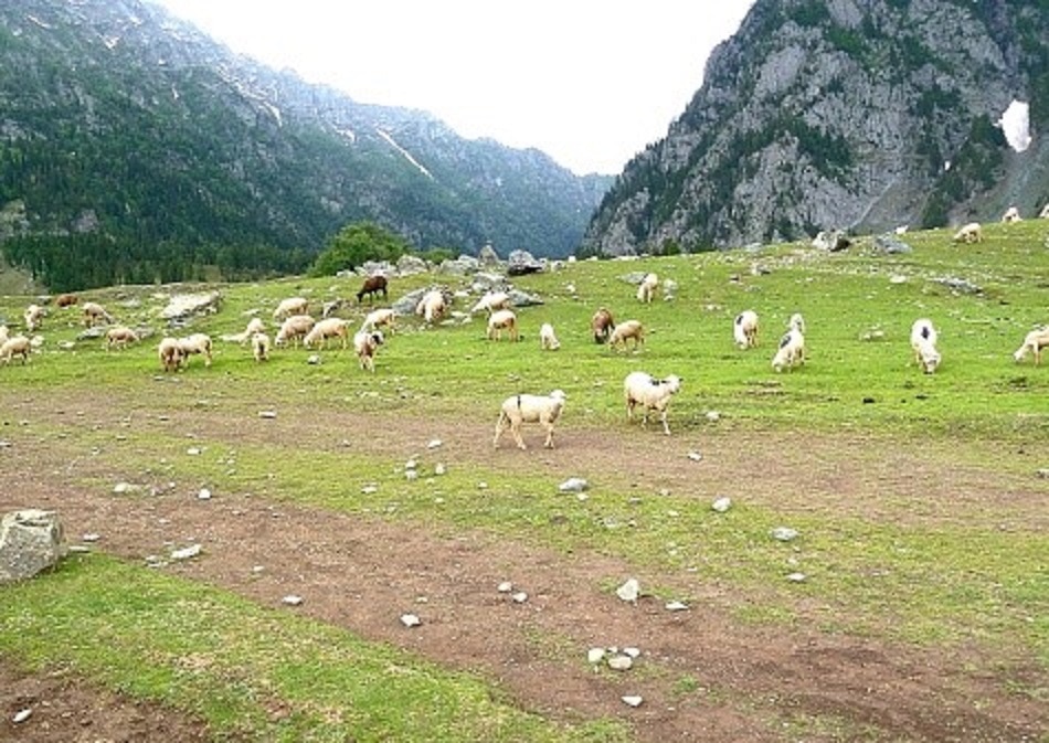 जून में घूमने के लिए सबसे बेहतरीन जगह