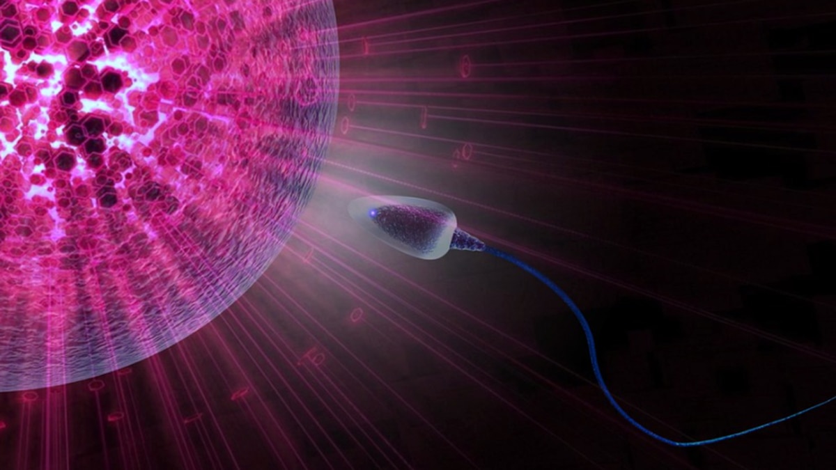 स्पर्म का आकार