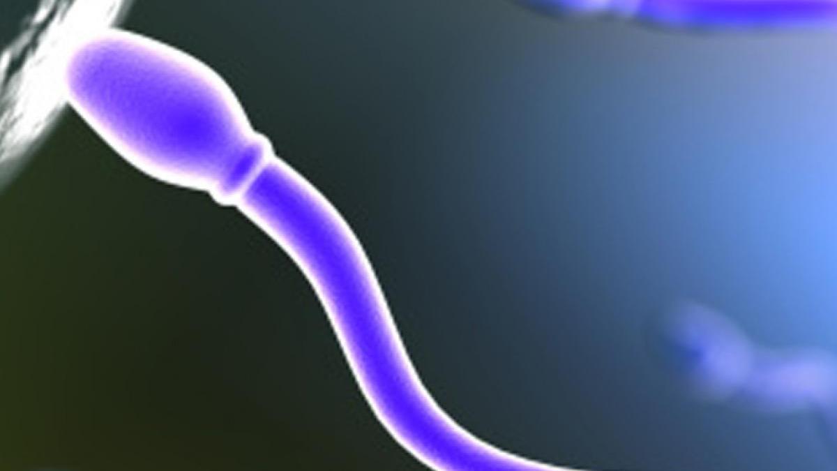 महिला ने लगाया डॉक्टर पर धोखाधड़ी का आरोप