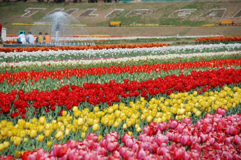 श्रीनगर