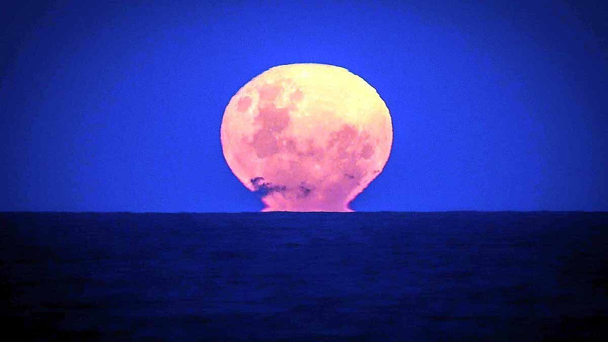 Strawberry Supermoon