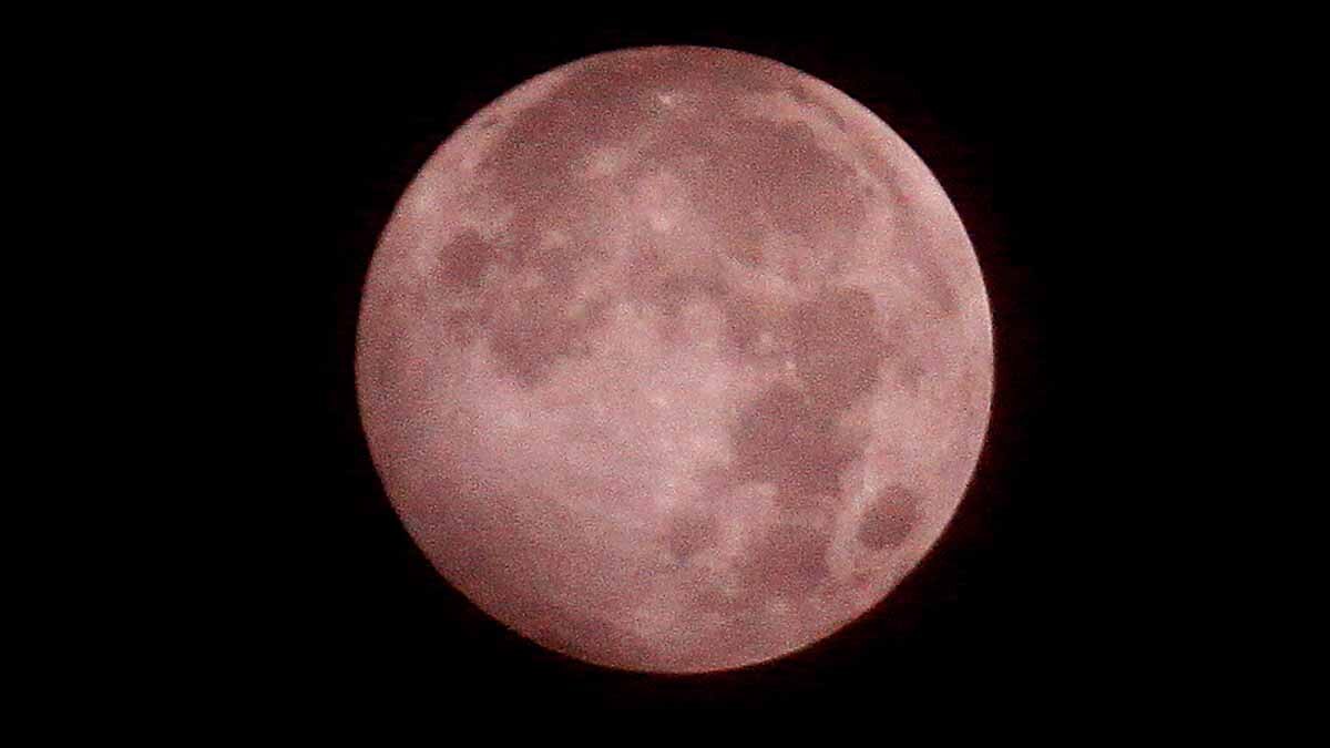Strawberry Supermoon
