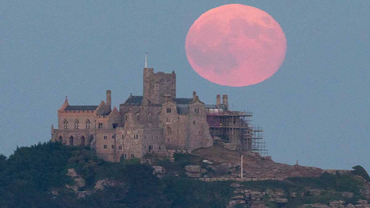 Strawberry Supermoon