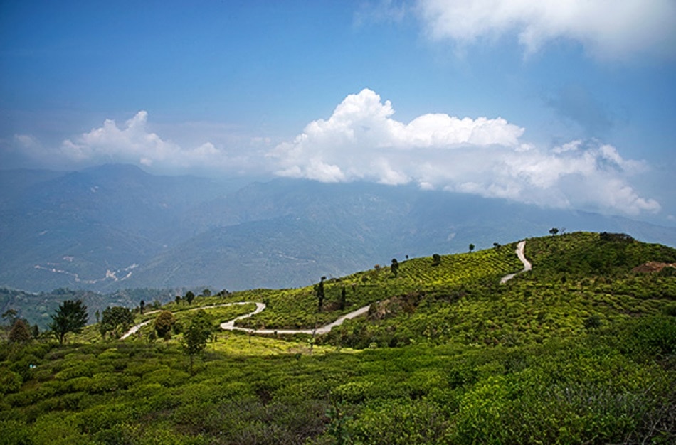 रानीखेत, उत्तराखंड