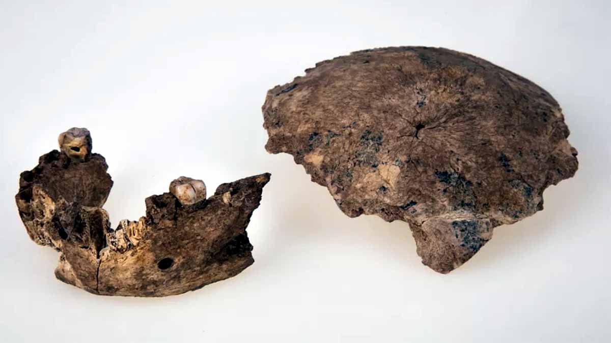 Unknown Mysterious Ancestor