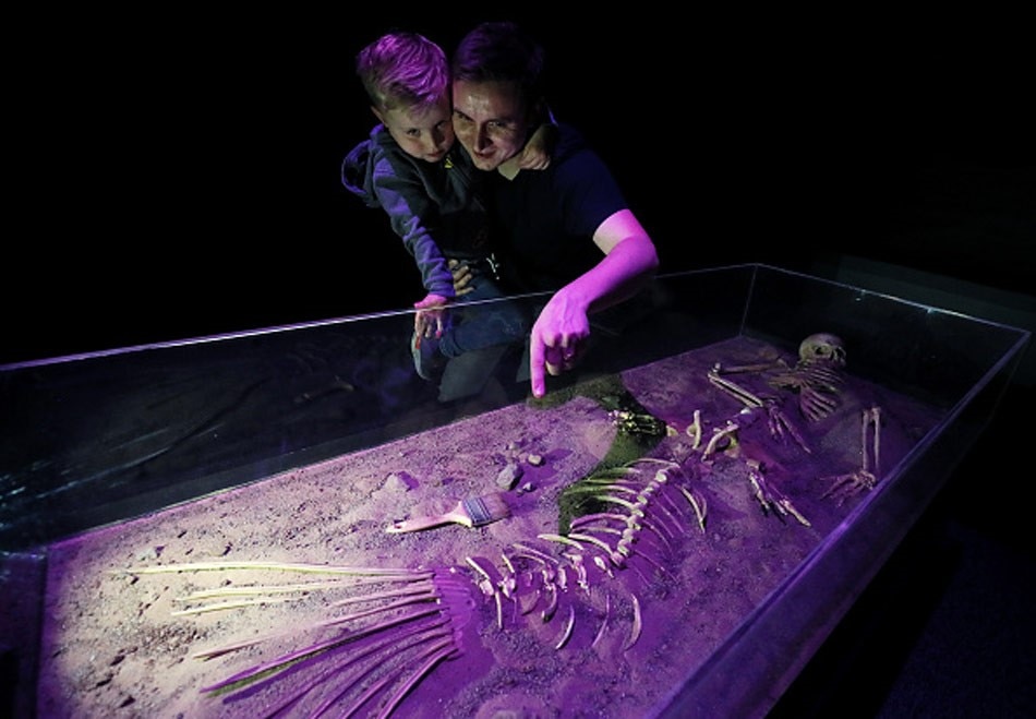 Skeleton of a mermaid 