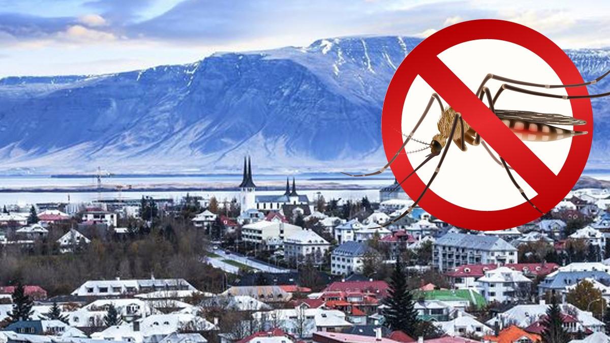 इस देश में नहीं एक भी मच्छर, न कीड़े मकोड़े, वजह जानकर रह जाएंगे हैरान