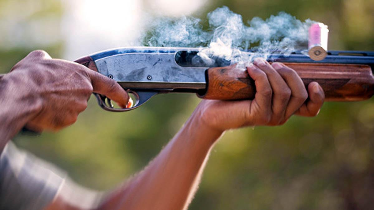 Scientist Shoots trees