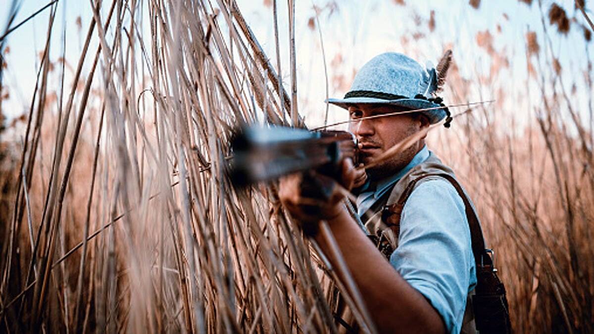 Scientist Shoots trees