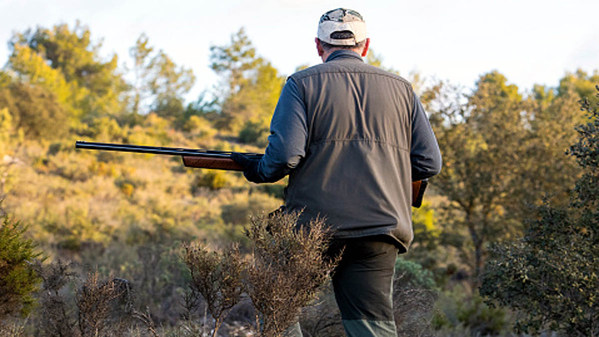 Scientist Shoots trees