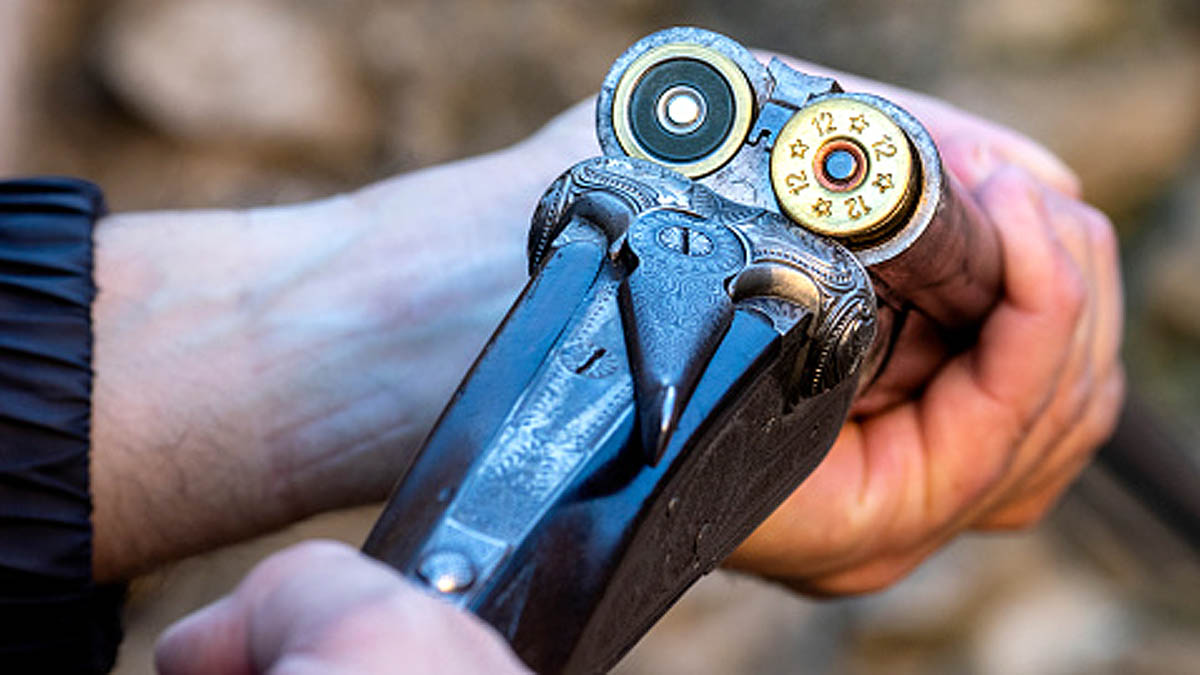 Scientist Shoots trees