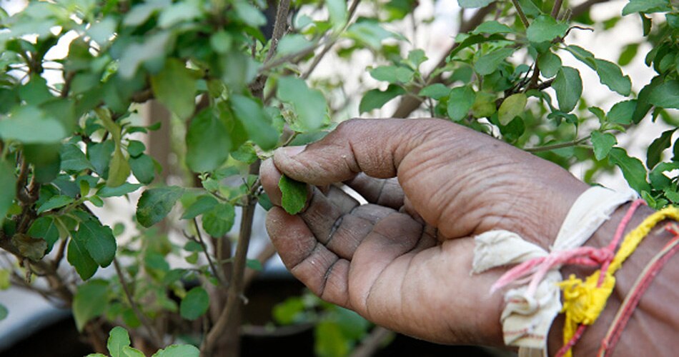 वास्तु उपाय