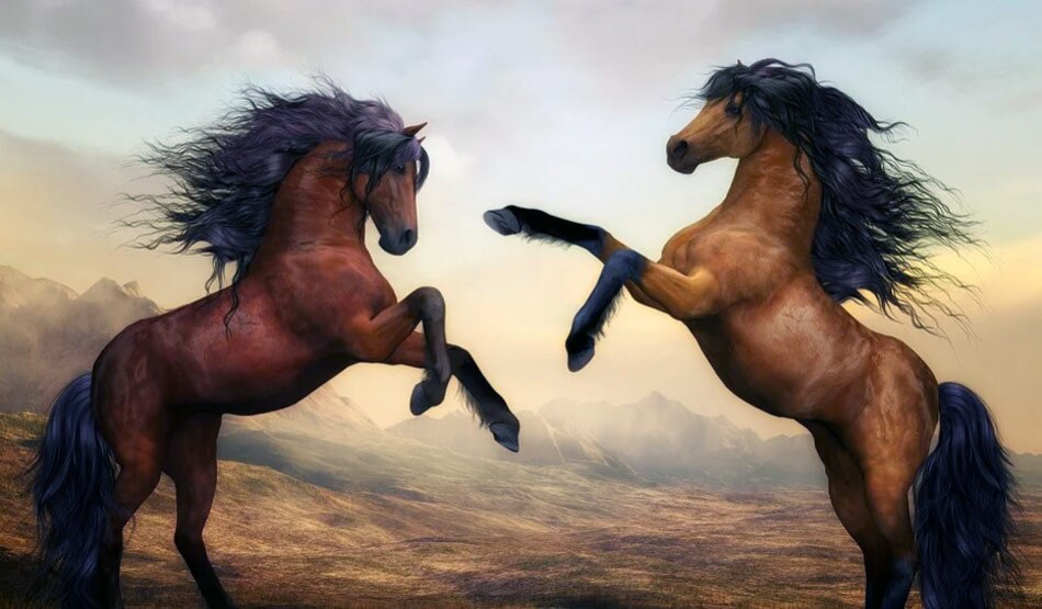 जंगली जानवरों की पेंटिंग3