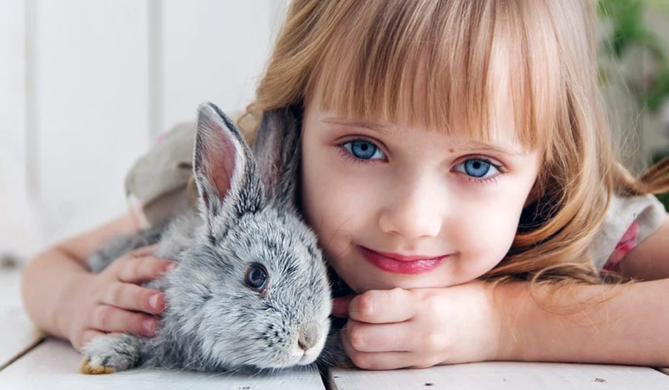  पालतु जानवर9