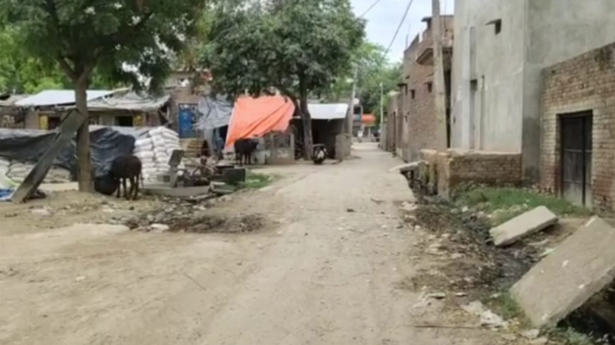  फर्जी प्रमाण पत्र के सहारे लड़ा चुनाव