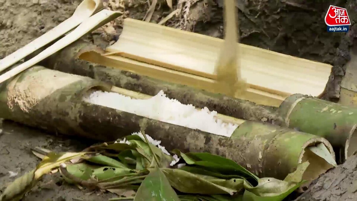 Indian guerrilla army