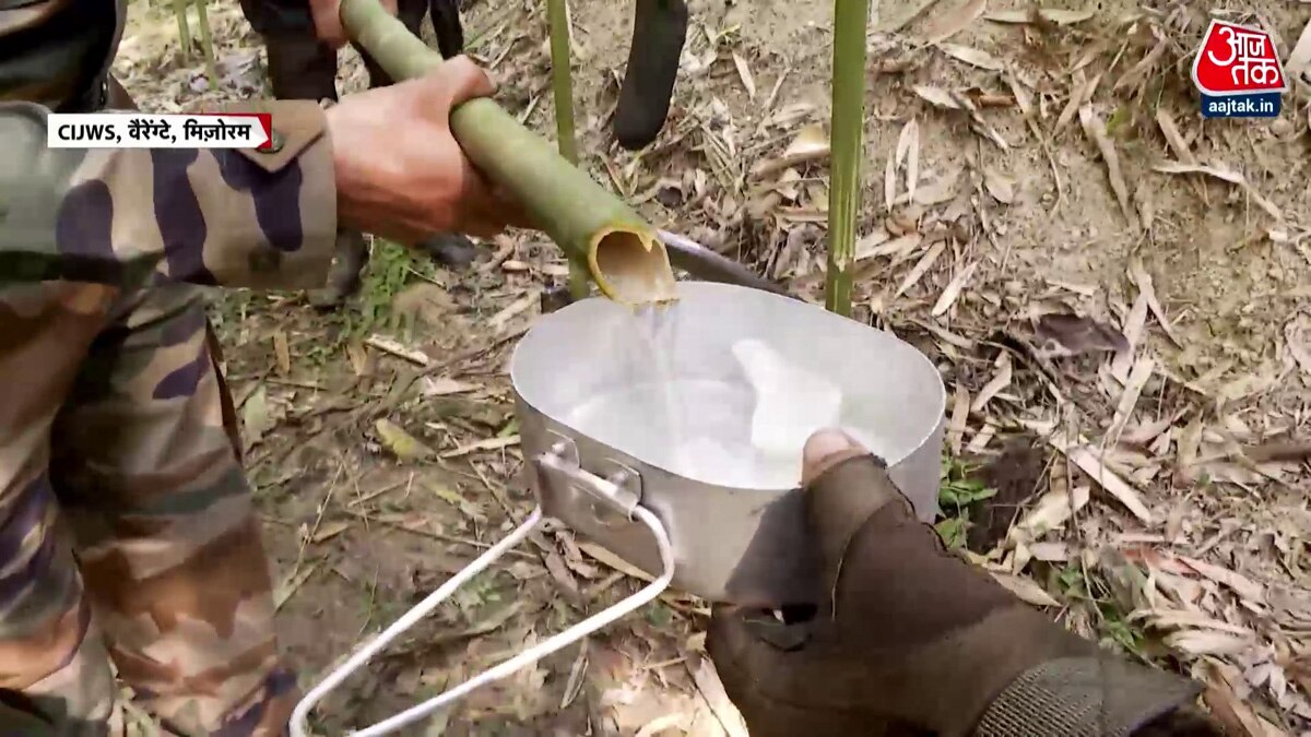 Indian guerrilla army