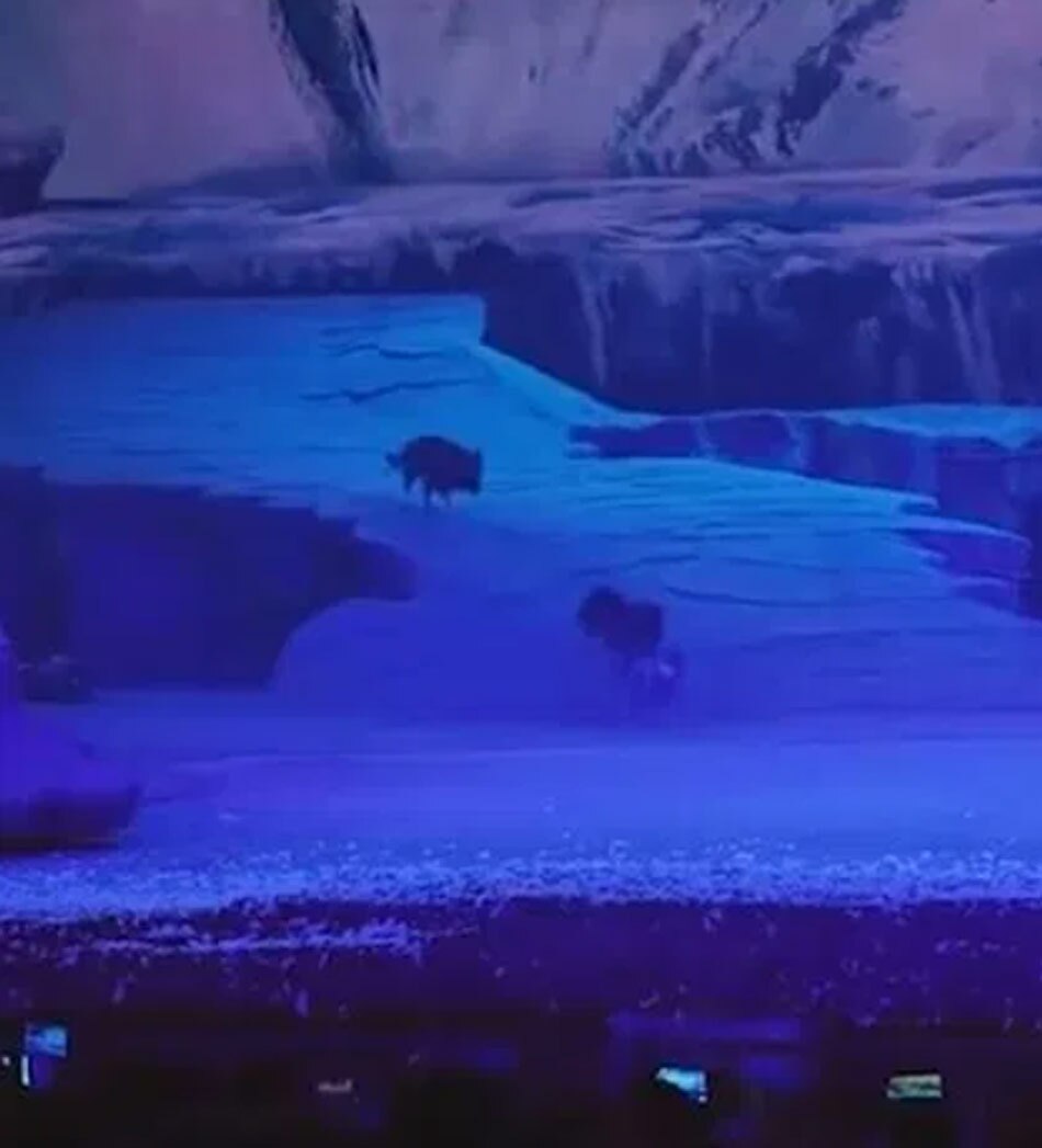 30 wolves chasing actors 