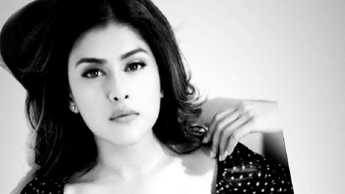 छोटे मोटे रोल करती थी नेहल