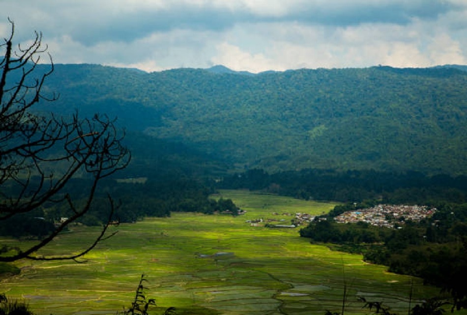 जिरो, अरुणाचल प्रदेश