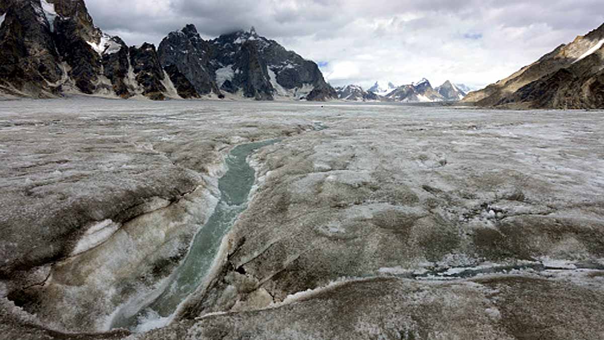 24000 year old zombies