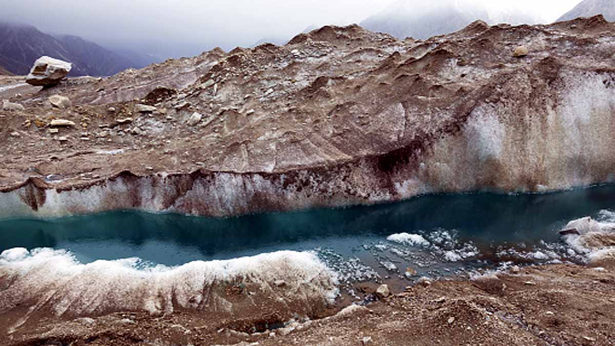 24000 year old zombies