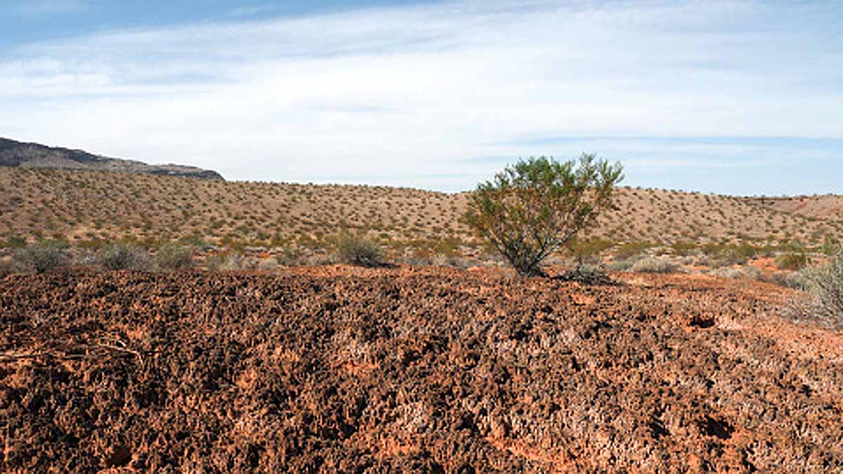 24000 year old zombies