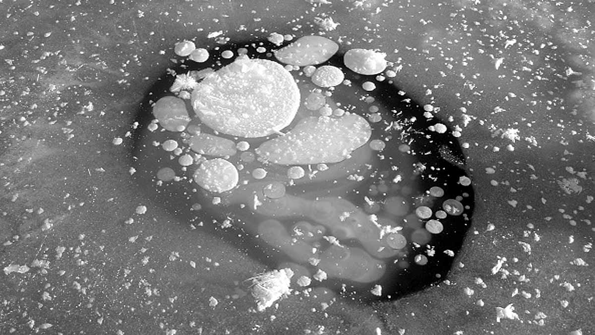 24000 year old zombies