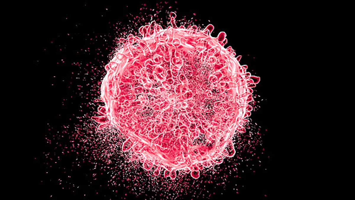 30 Animal Virus Future Pandemic