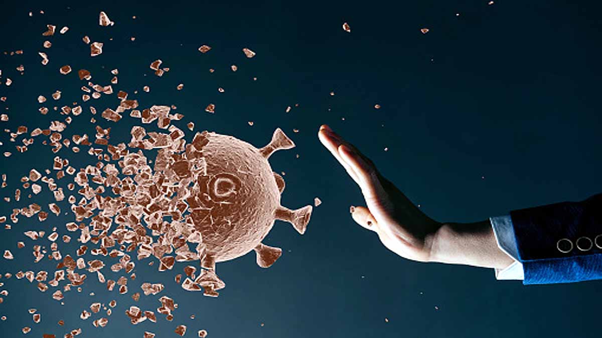 30 Animal Virus Future Pandemic