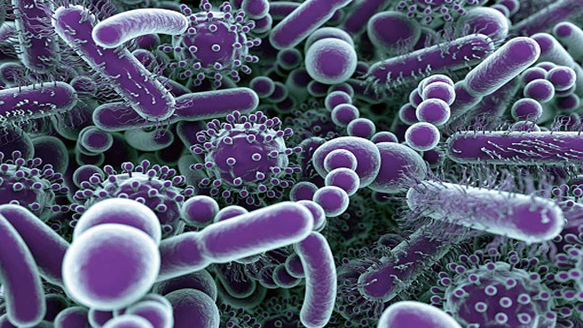 30 Animal Virus Future Pandemic