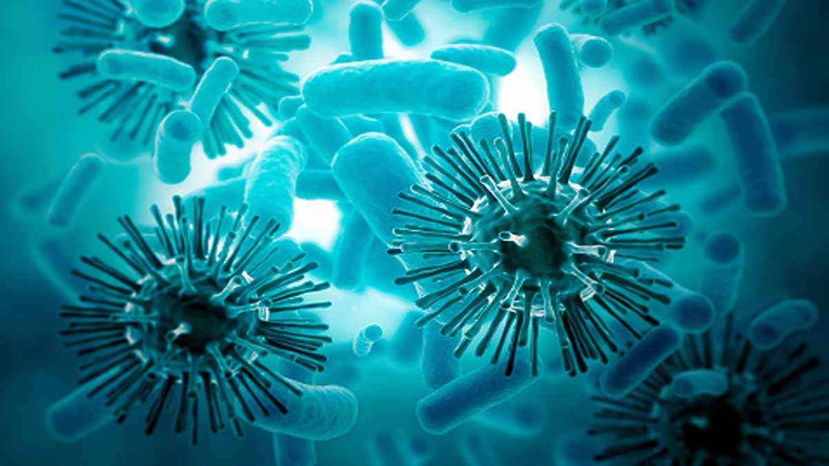 30 Animal Virus Future Pandemic