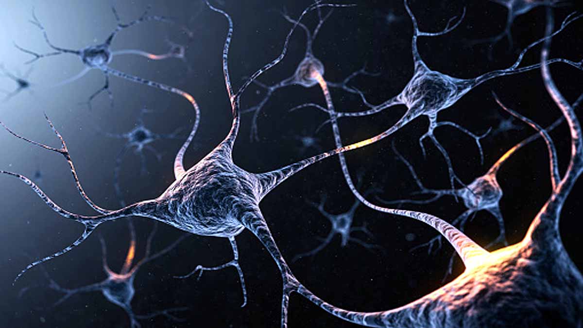 30 Animal Virus Future Pandemic