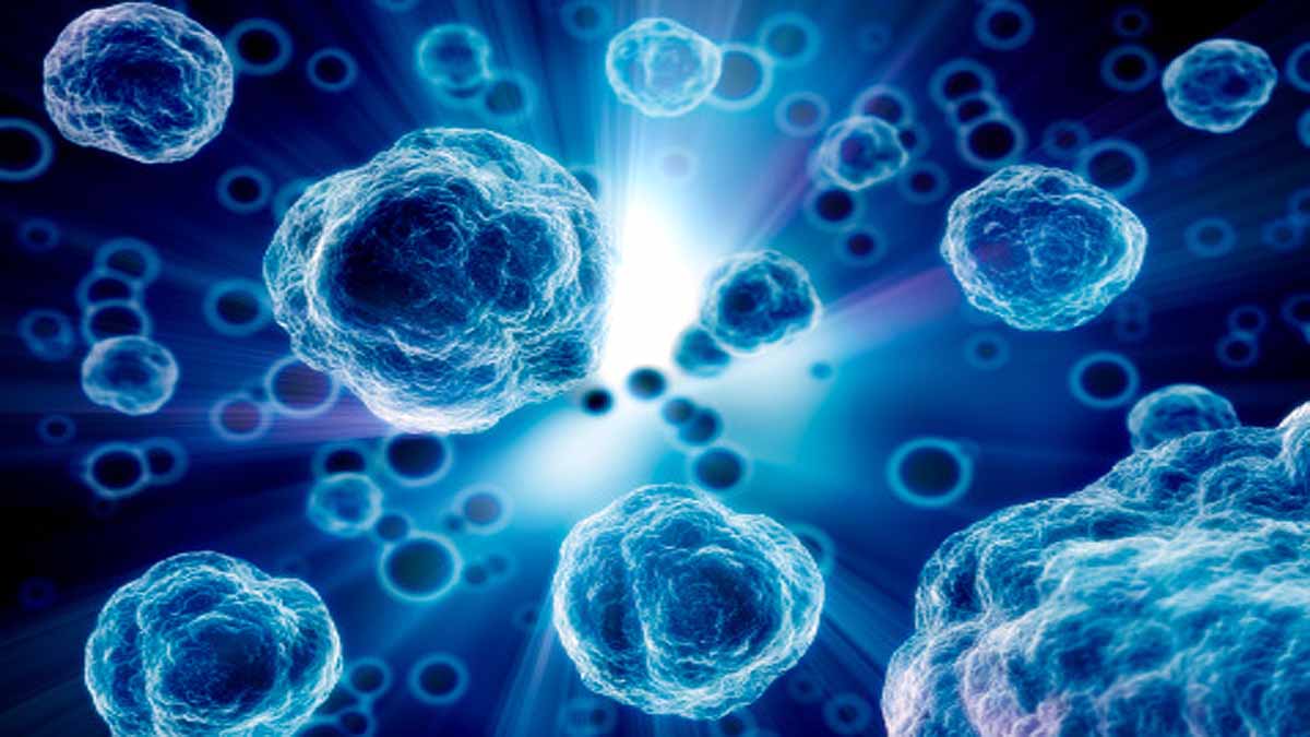 30 Animal Virus Future Pandemic