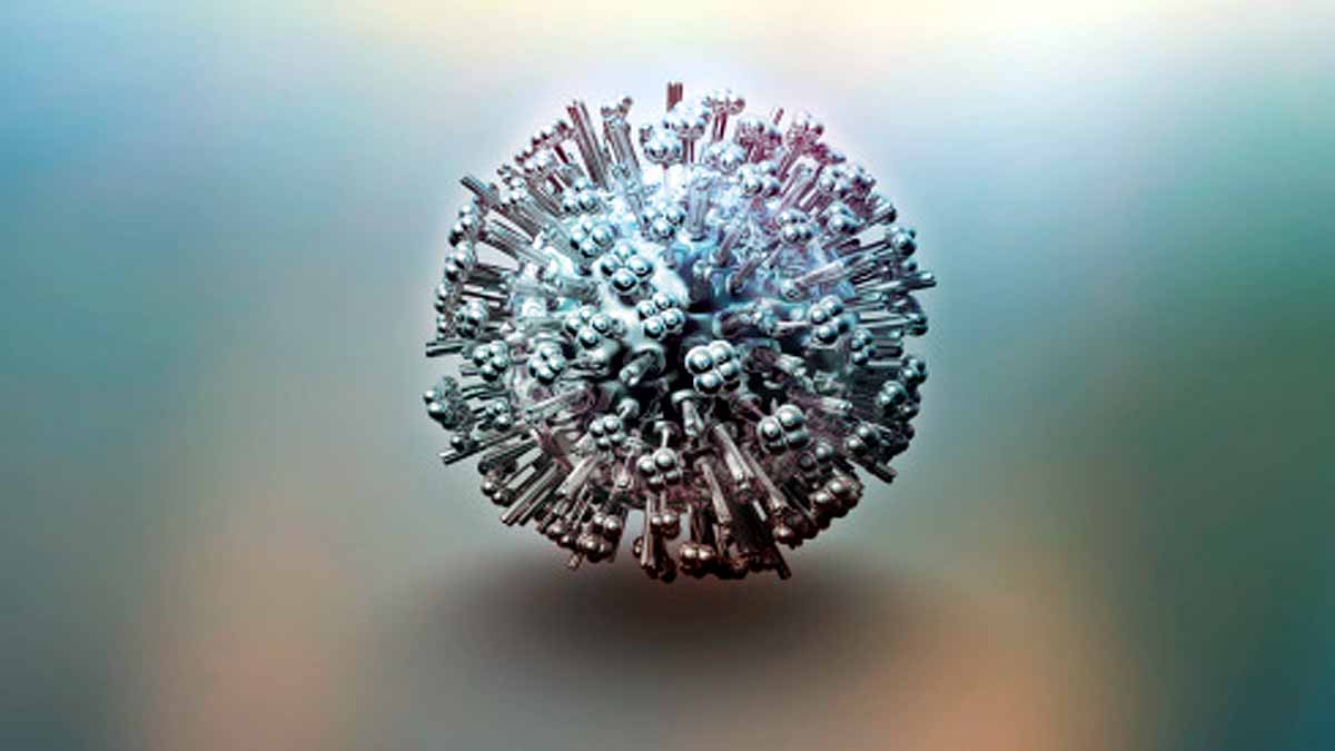 30 Animal Virus Future Pandemic