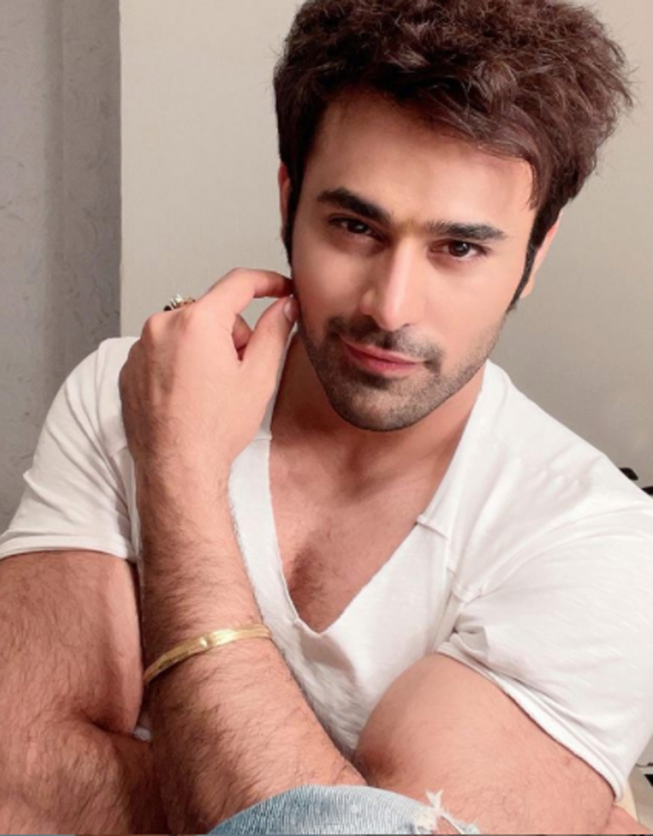 पर्ल वी पुरी