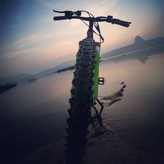  ई-बाइक की मांग में बढ़ोतरी 