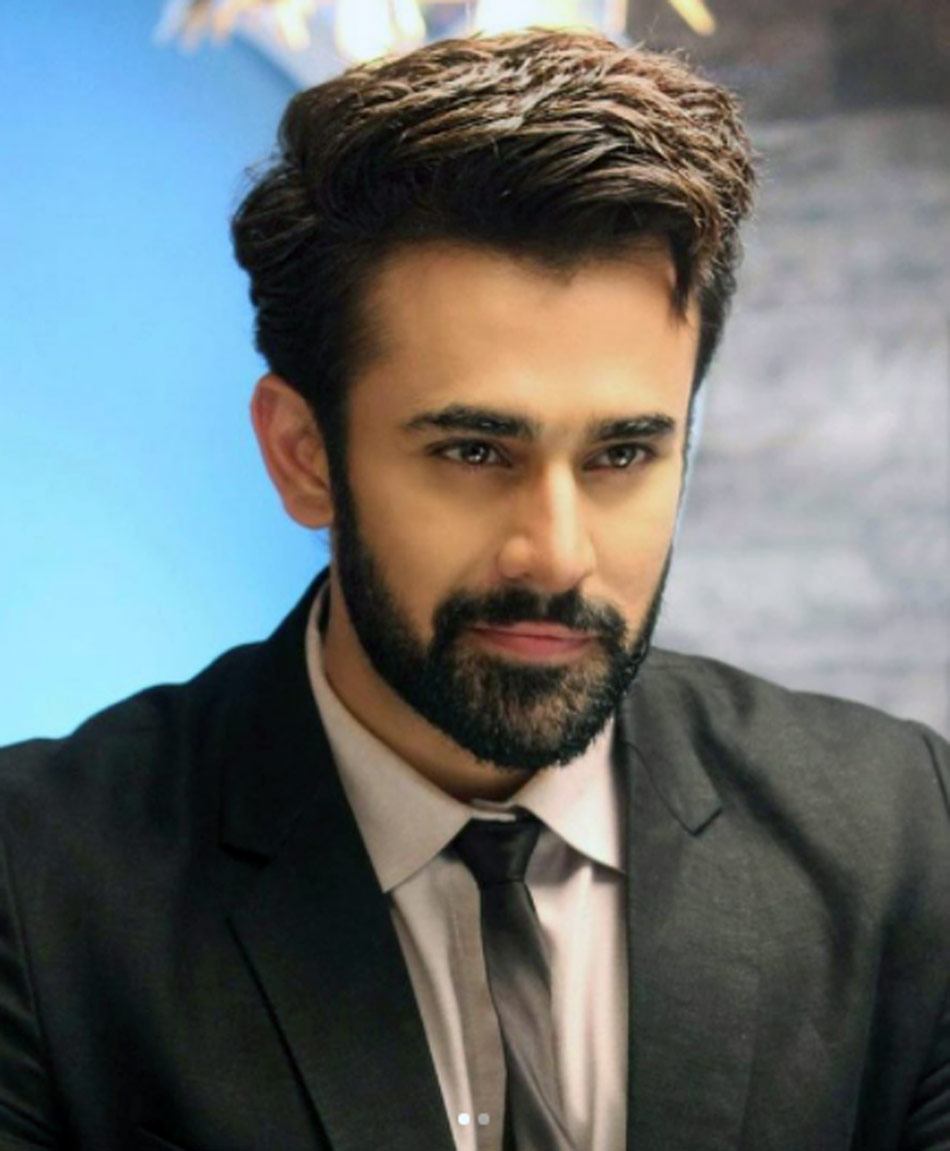 पर्ल वी पुरी