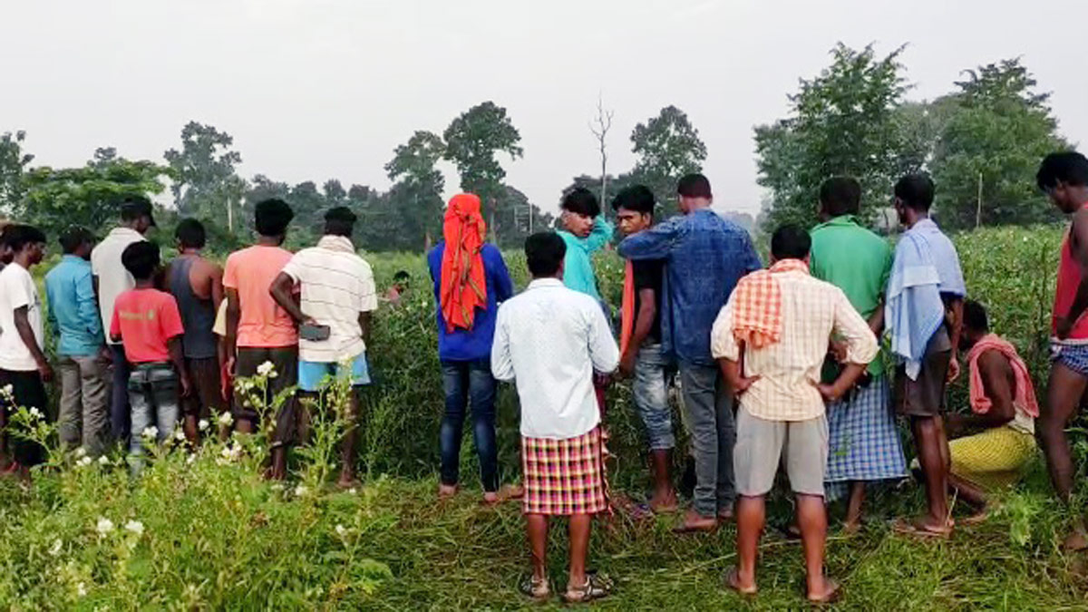 हाथियों के झुंड ने महिला को कुचला 