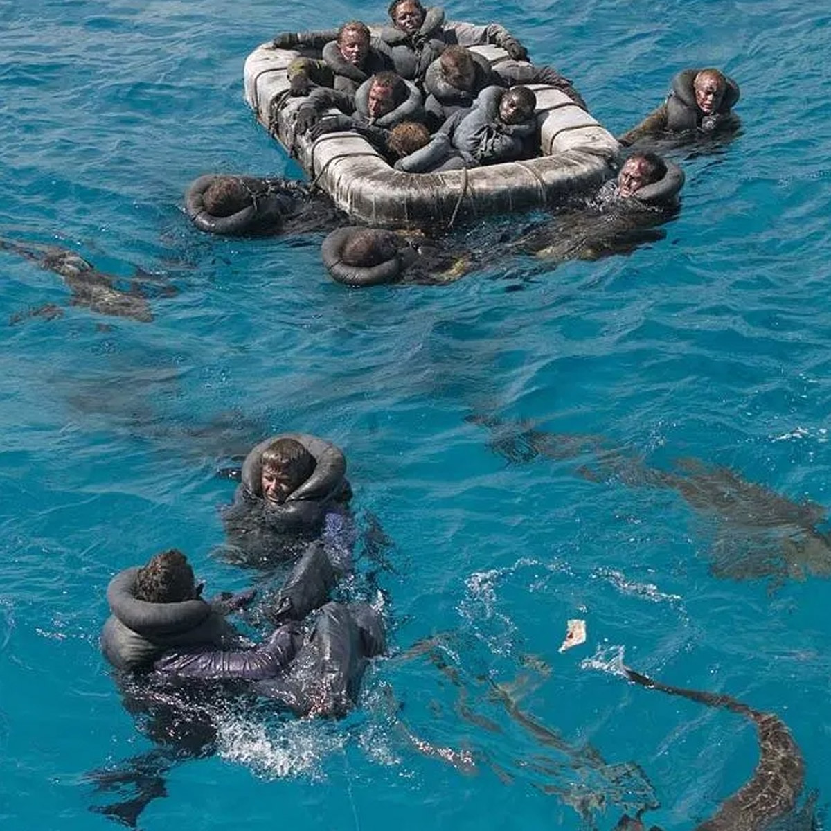 shark USS Indianapolis