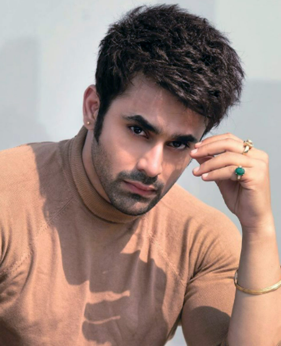 पर्ल वी पुरी