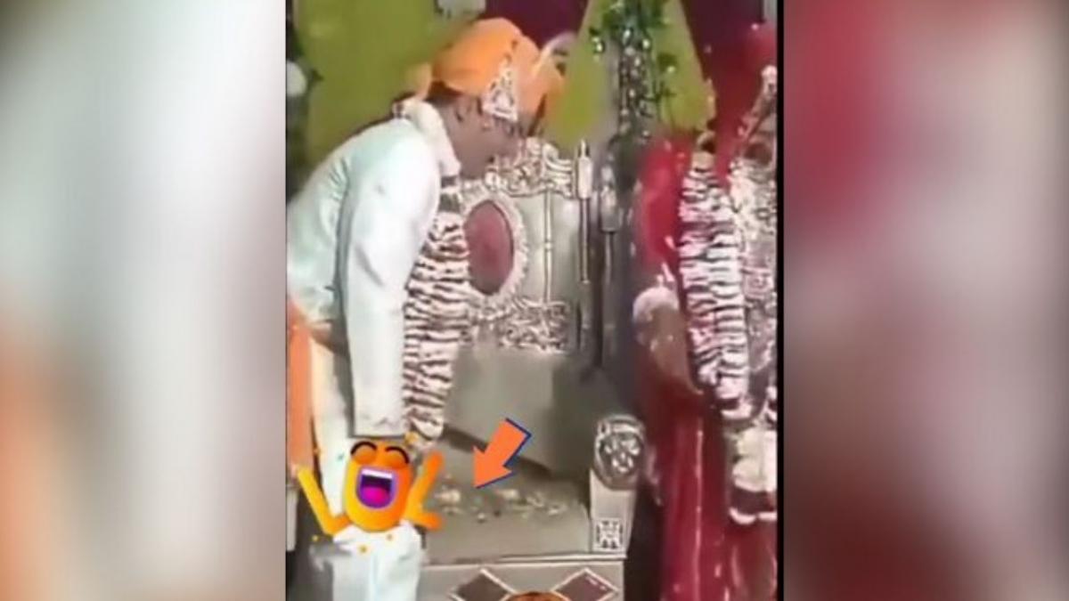 वायरल तस्वीर