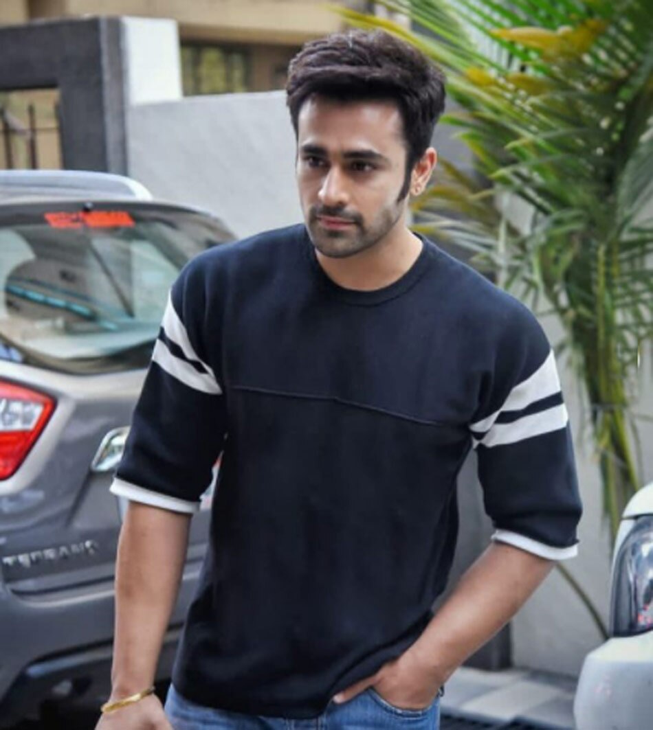 पर्ल वी पुरी